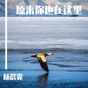 原来你也在这里(CV刘若英)