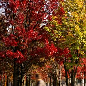 Tell Me That You Love Me