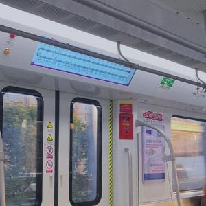 忽而今夏钢琴（翻自 汪苏泷）