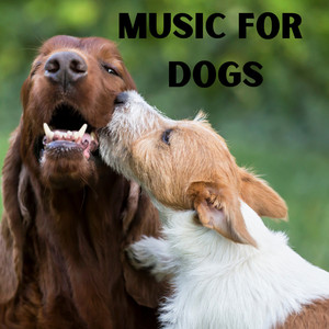 Music for Dogs Peace