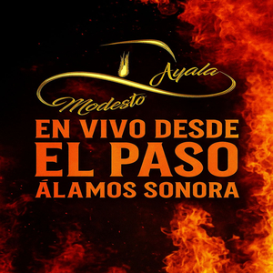 La Guayabita (En Vivo)