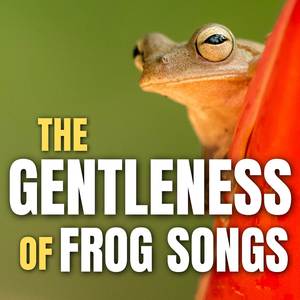 Frog Sounds