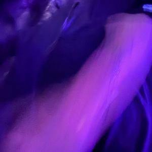 Gottahaveit high pitch