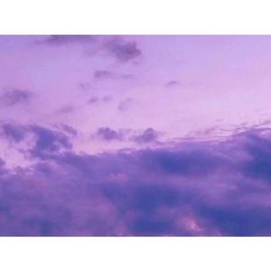 猫头鹰夜间速递instrumental