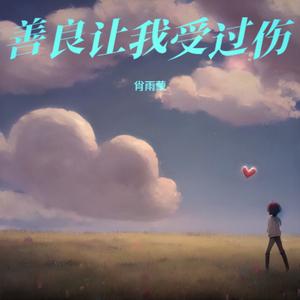 善良让我受过伤 (DJ阿能版)