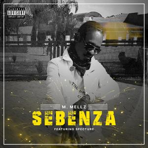 Sebenza (feat. Specture)