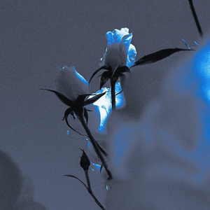 狐狸的童话（0.8x）