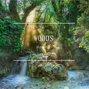 Woods (Melodic House)