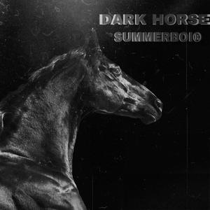 黑马 Dark Horse