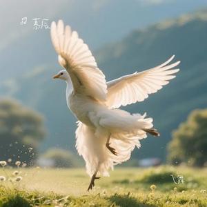 飞舞 (Cover 王冰洋)