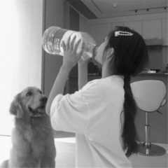 最新摇摆曲 (DJ版)