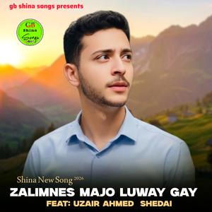 Zalimanes Majo Luway Gay (Shina New Song 2026) (feat. Uzair Ahmed Shedai)