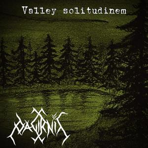 Cabin of solitude (Vienatvės troba)