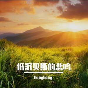 低沉贝斯的悲鸣