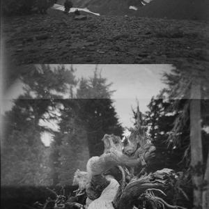 Spent (feat. Nat Schweizer)