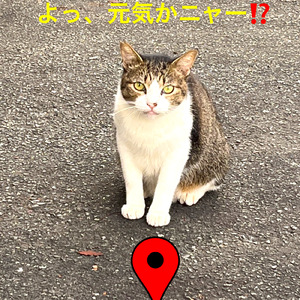 ピンポーンダッシュ