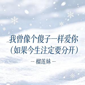 我曾像个傻子一样爱你