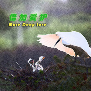 赞美大自然