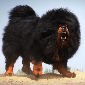 境界（prod by<3 Beatz）