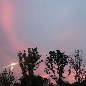 蝴蝶泉边（Cover：黄雅莉）