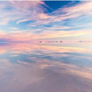 追逐夢想的孩子