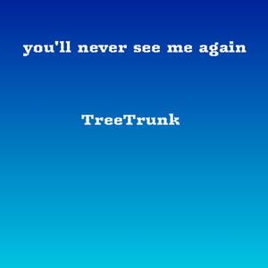 You'll Never See Me Again