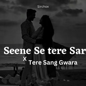 Terr Sang Gawara Seene Se tere Sare ko (Chillout Mashup)