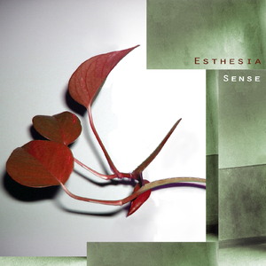 The Mist and the Shade