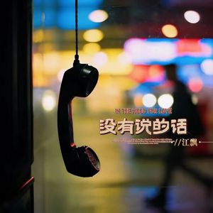 没有说的话