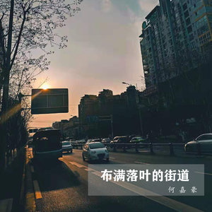 布满落叶的街道（Acoustic demo）