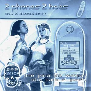 2phones2hoes (feat. Bloodbaby, Ginkgo & Beltboy)