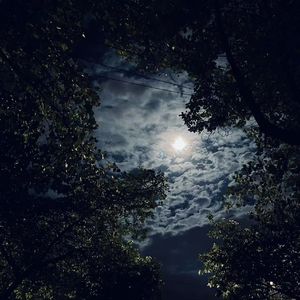 tender feeling 温柔乡