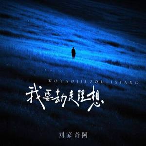 我要劫走理想