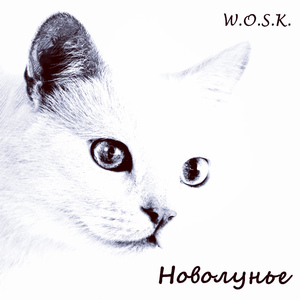 Новолунье