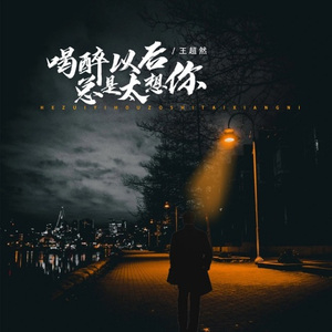 喝醉以后总是太想你 (DJ沈念版)