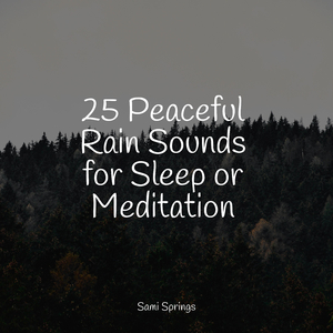 Rain, Drain, Cement, Lawn