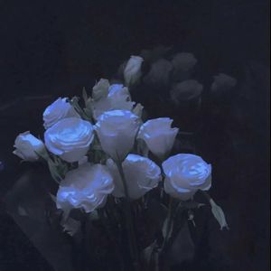 【Free】“自述”(Pop/Indie/Emo Type Beat)