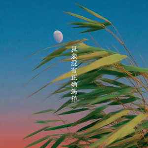 从来没有正确选择