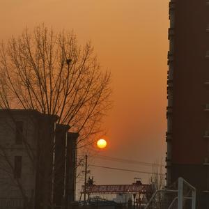 谁的尾巴最好看