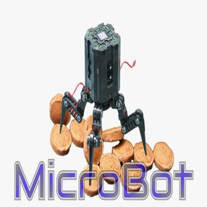 MicroBot (Goofie)