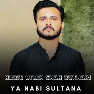 Ya Nabi Sultana