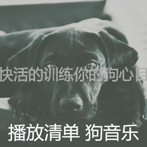 有趣小狗情怀