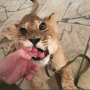 可不可以（低音环绕）