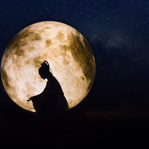 愿为同命鸟（翻自 以冬/伦桑）