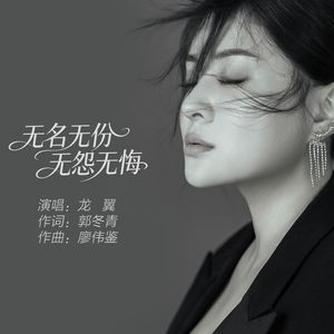 无名无份无怨无悔