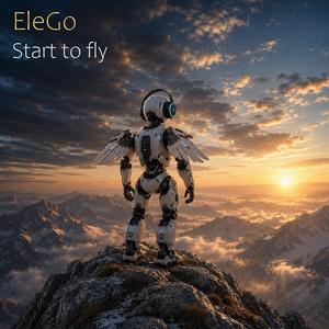 Start to fly