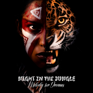 Night in the Jungle