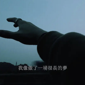 又一场梦
