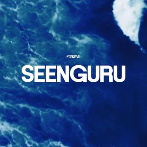 SEENGURU