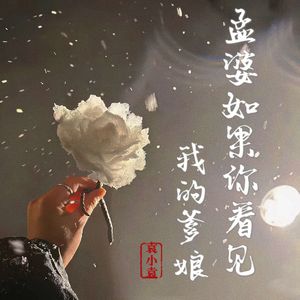 孟婆如果你看见我的爹娘